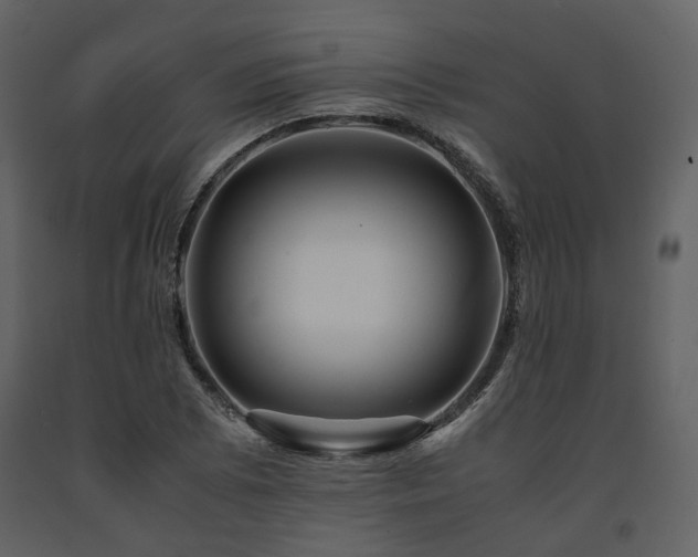 X0000091711073200708241241