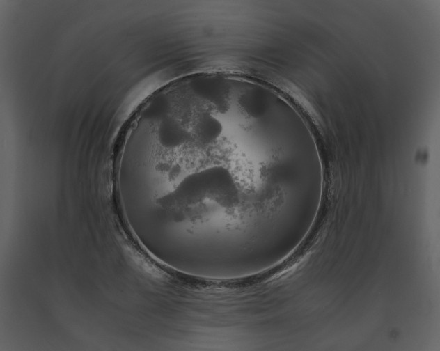 X0000091711075200708241241