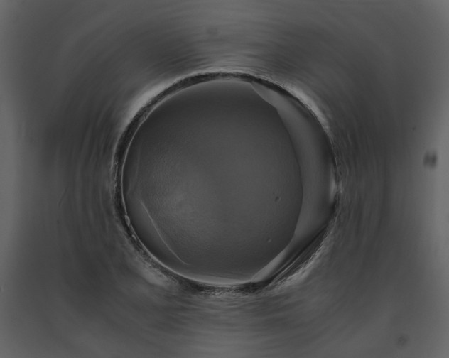 X0000091711077200708241241
