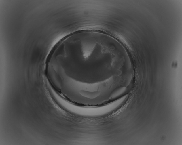 X0000091711079200708241241
