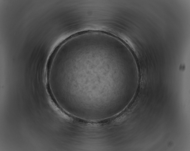 X0000091711080200708241241