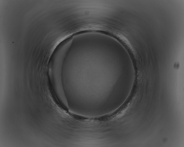 X0000091711081200708241241