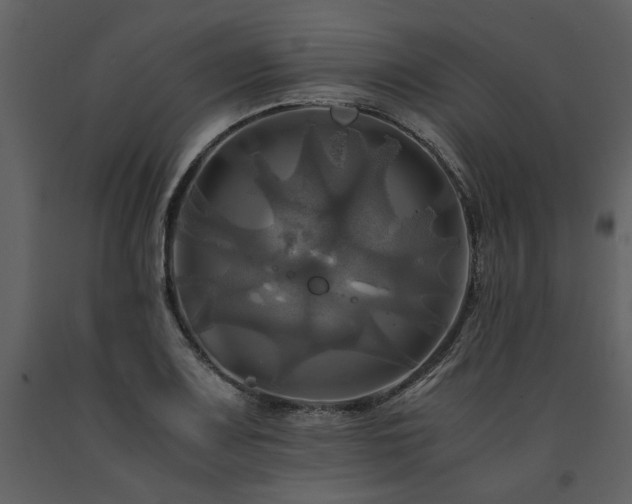 X0000091711083200708241241