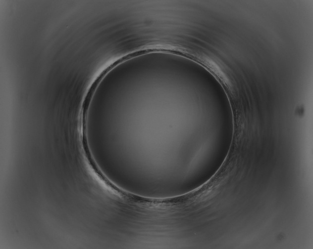 X0000091711084200708241241