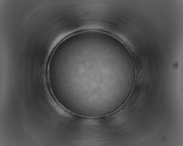 X0000091711086200708241241
