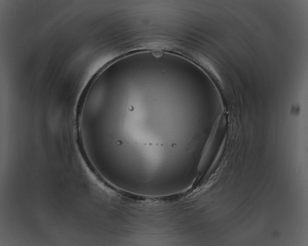 X0000091711087200708241241