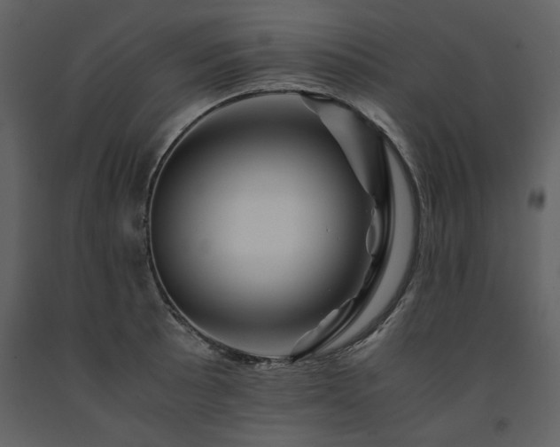 X0000091711089200708241241
