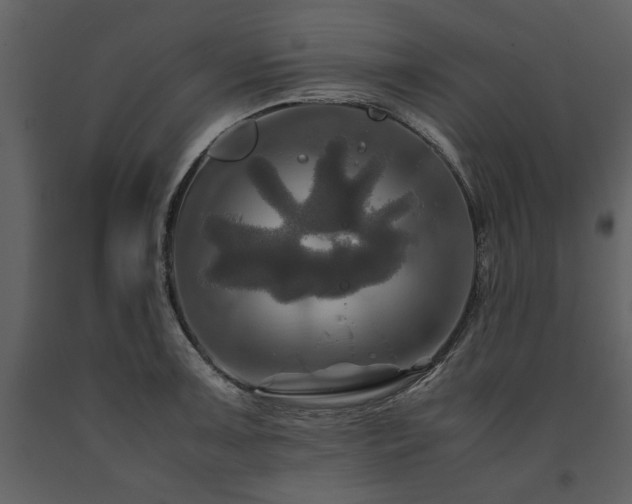 X0000091711091200708241241
