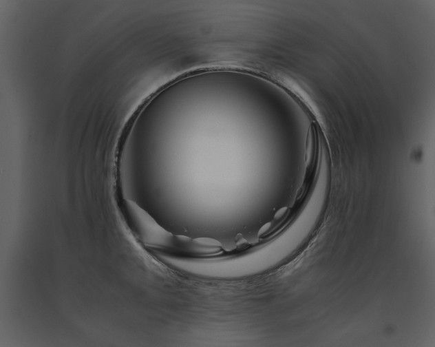 X0000091711093200708241241
