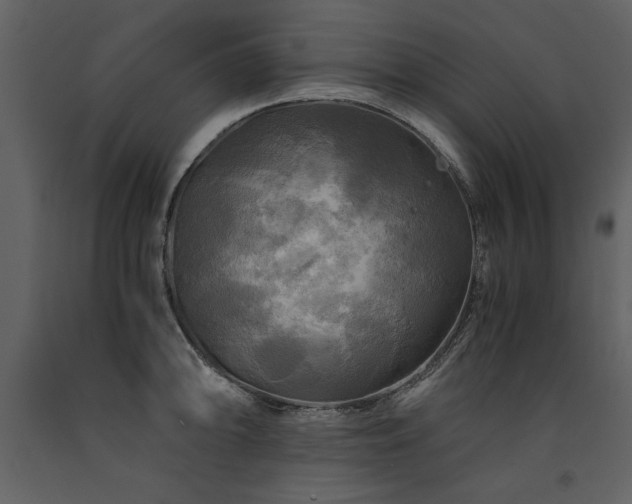 X0000091711094200708241241