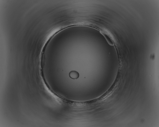 X0000091711095200708241241