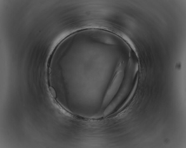 X0000091711096200708241241