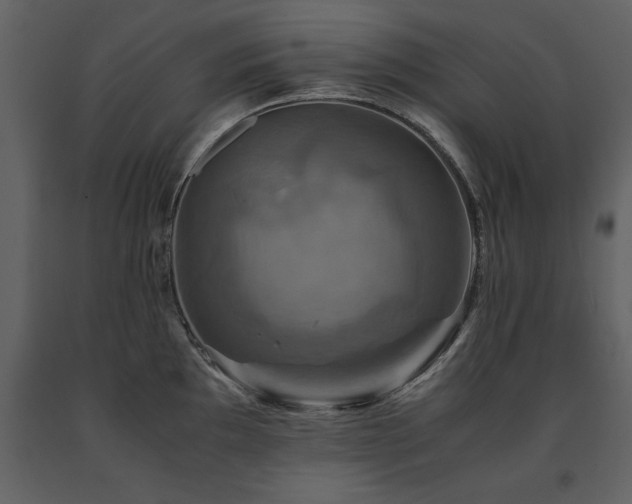 X0000091711097200708241241