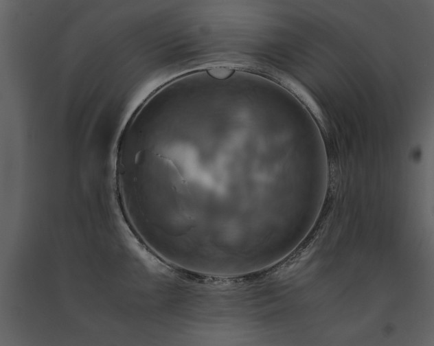 X0000091711099200708241241