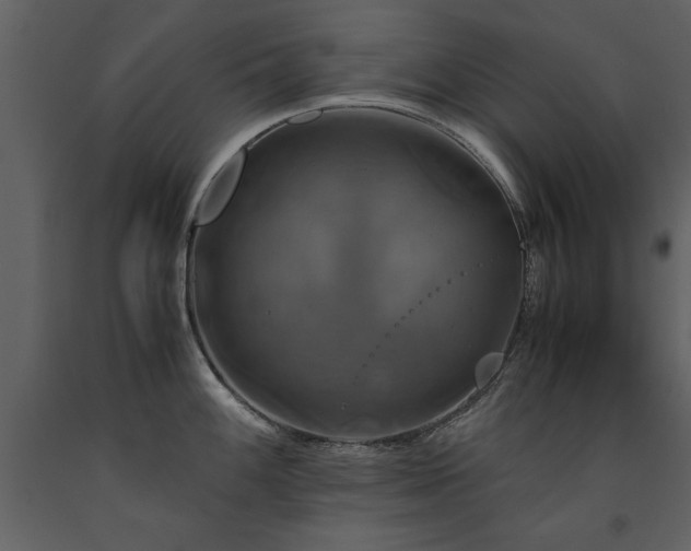 X0000091711100200708241241