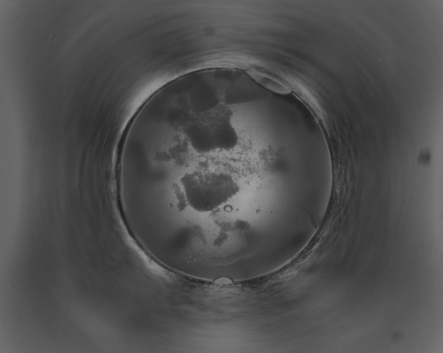 X0000091711103200708241241