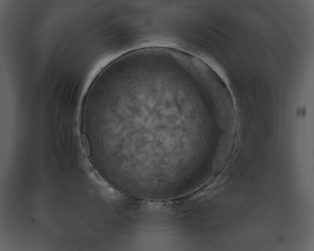 X0000091711104200708241240