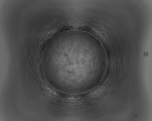 X0000091711105200708241240