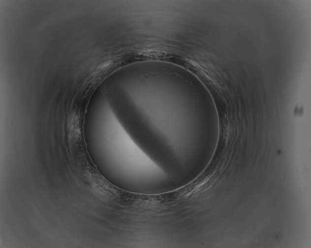 X0000091711106200708241240