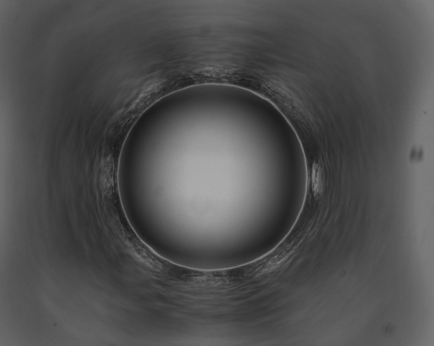 X0000091711107200708241240