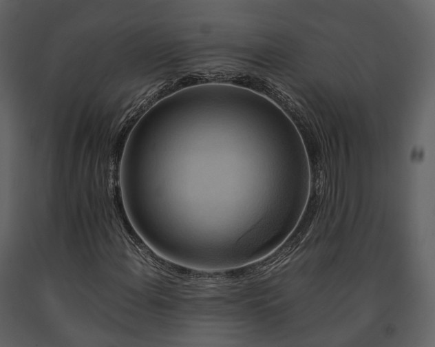 X0000091711108200708241240