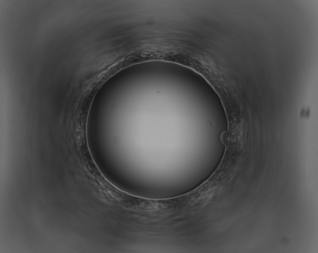 X0000091711109200708241240