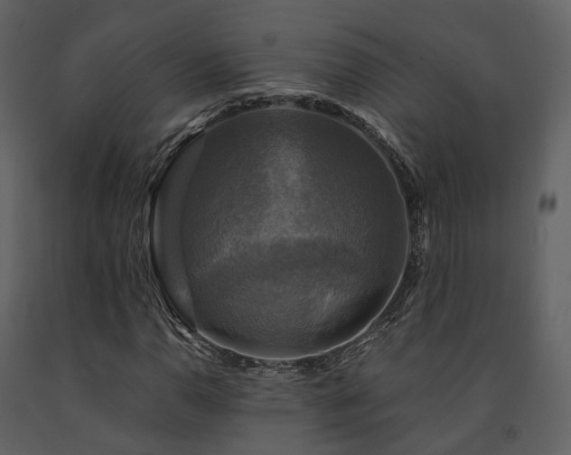 X0000091711110200708241240
