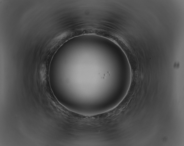 X0000091711111200708241240