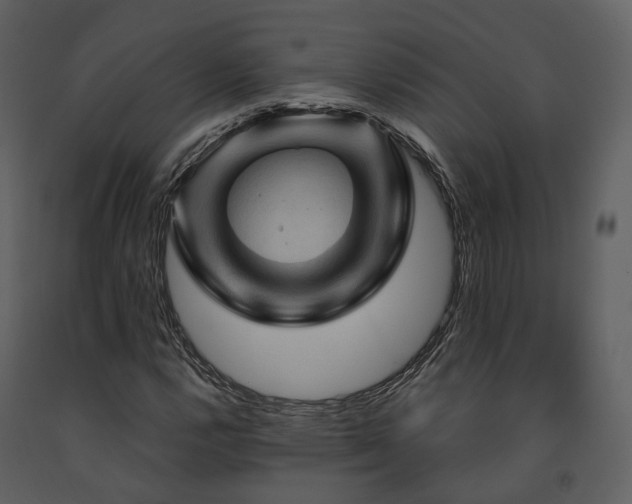 X0000091711112200708241240