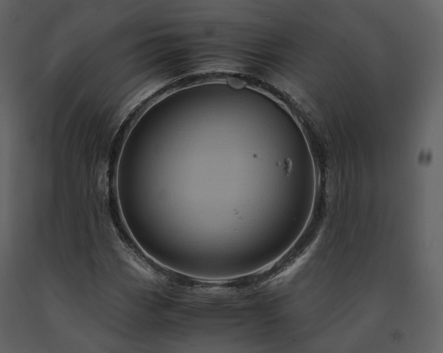 X0000091711113200708241240