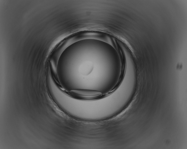 X0000091711114200708241240