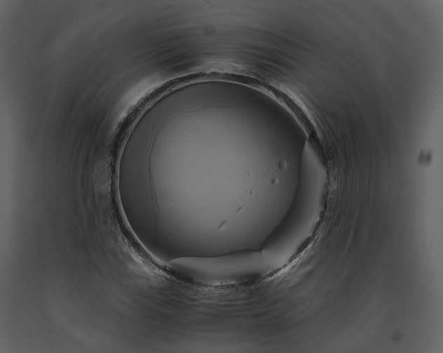 X0000091711115200708241240