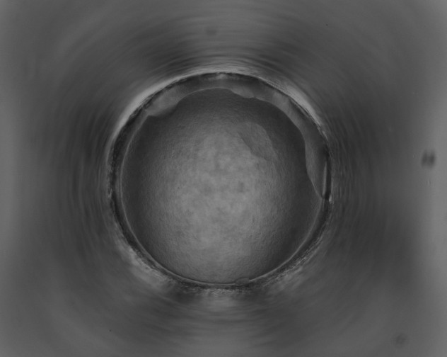 X0000091711116200708241240