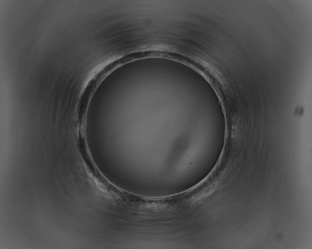 X0000091711117200708241240
