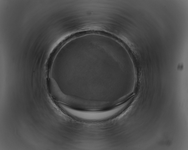 X0000091711118200708241240