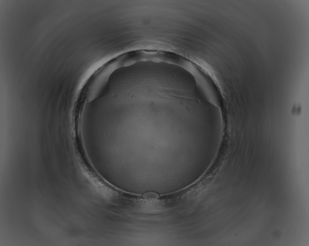 X0000091711120200708241240