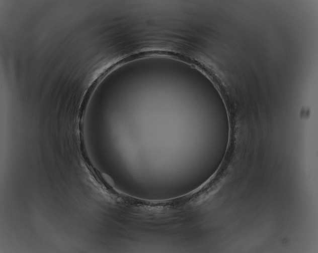 X0000091711121200708241240