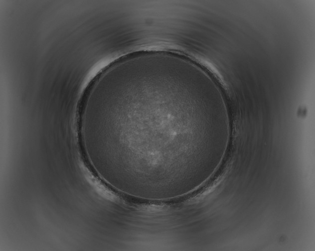 X0000091711122200708241240