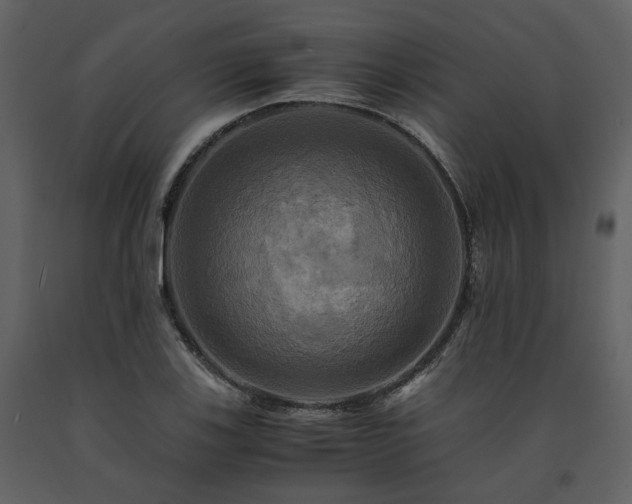 X0000091711123200708241240