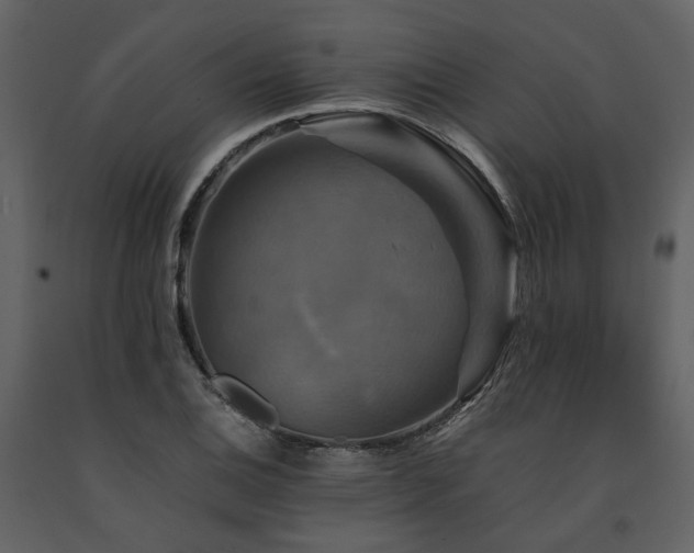 X0000091711124200708241240