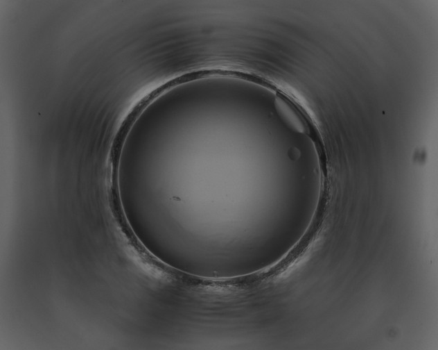 X0000091711125200708241240
