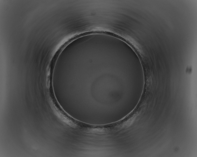 X0000091711126200708241240