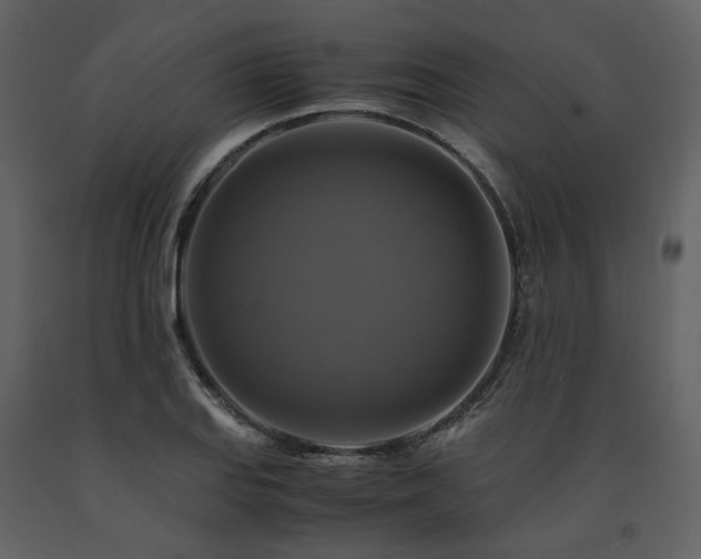 X0000091711127200708241240