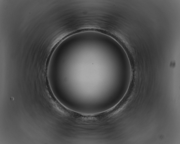 X0000091711129200708241240