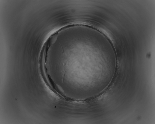 X0000091711133200708241240