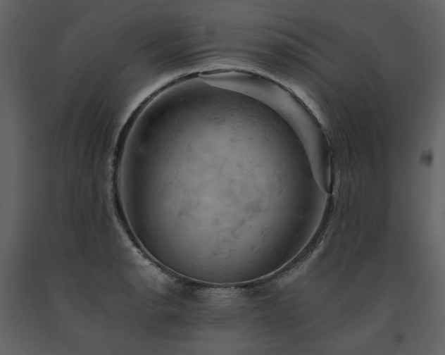 X0000091711134200708241240