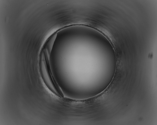 X0000091711135200708241240