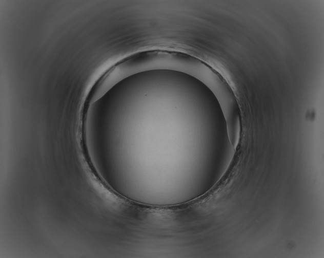 X0000091711136200708241240