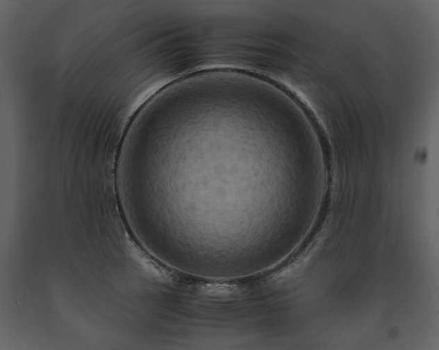 X0000091711137200708241240