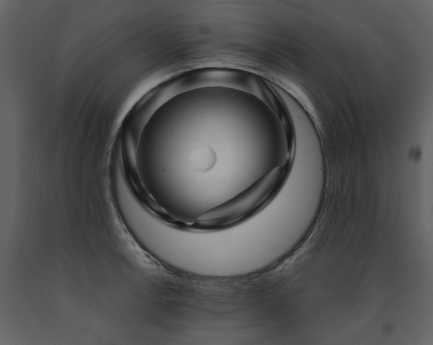 X0000091711138200708241240